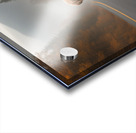 Autumns Embrace Acrylic print