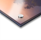 Nature at its best Acrylic print