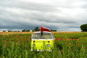 Ready for an adventure