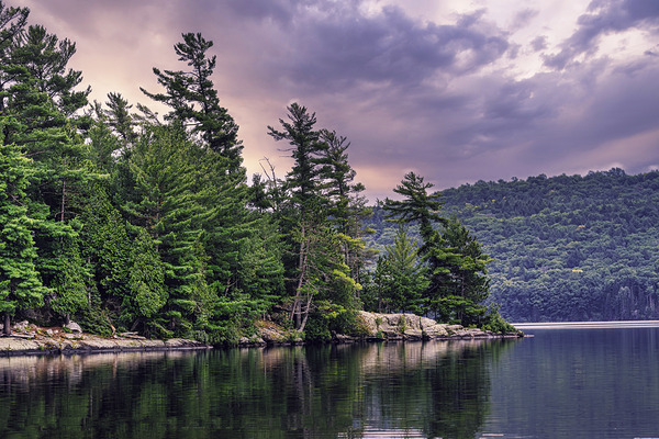 Light Before a Storm by Aman Sharma