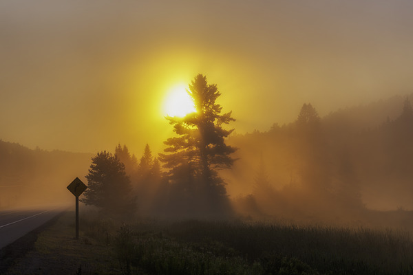 Algonquin Park Sunrise Print