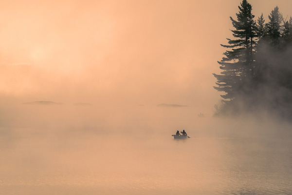 Misty Morning by Aman Sharma