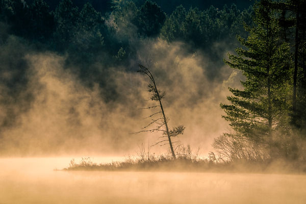 Mystical by Aman Sharma