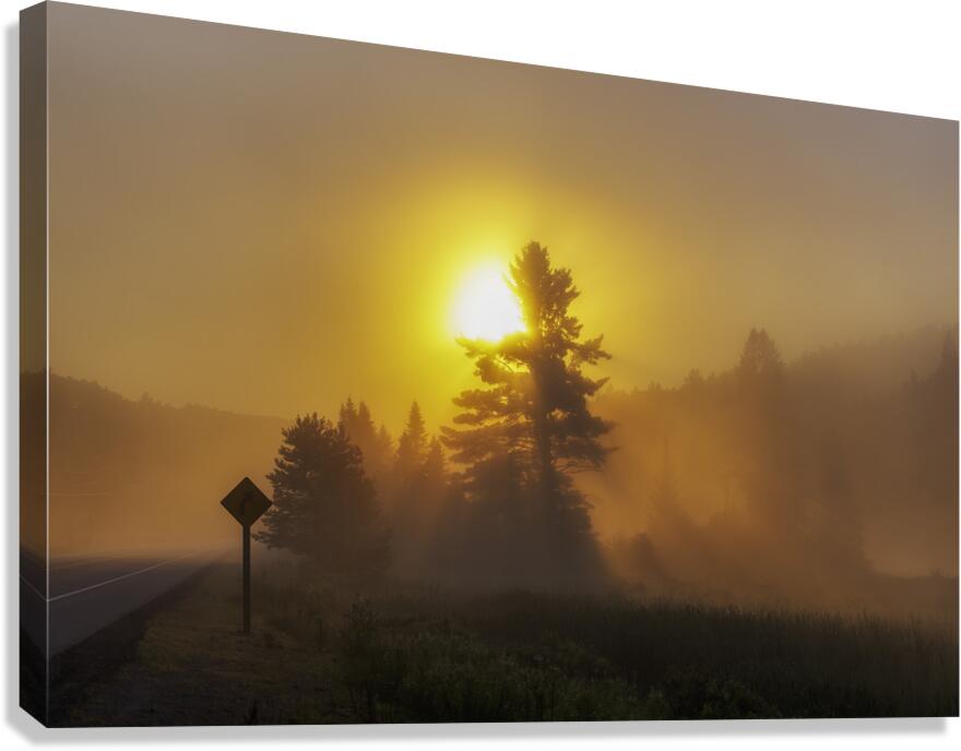 Algonquin Park Sunrise Canvas Print