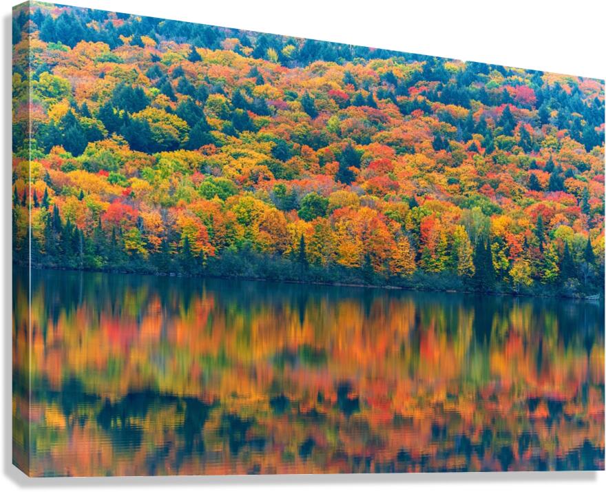 Autumns Attire Canvas Print