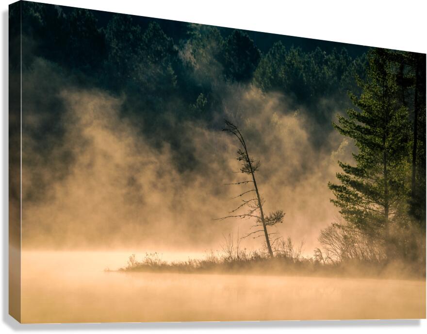 Mystical Canvas Print