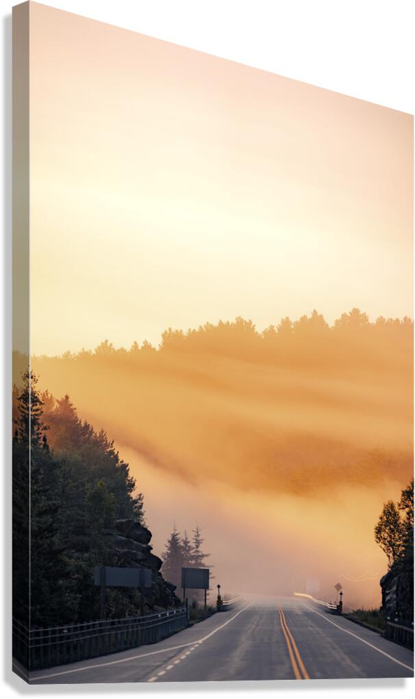 Morning Light Canvas Print