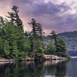 Light Before a Storm