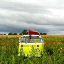 Ready for an adventure