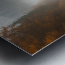 Autumns Embrace Metal print