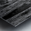 The Big Spotted Deer Metal print