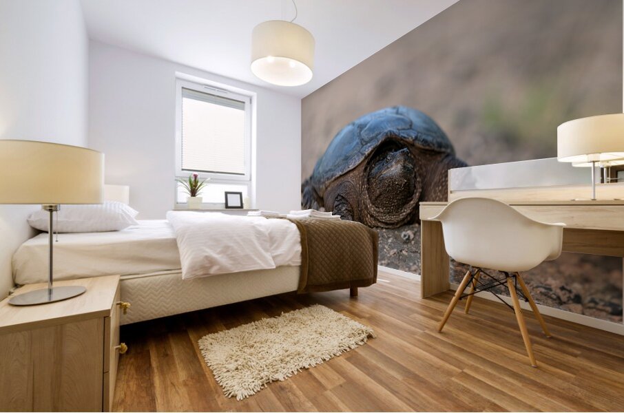 Snapping Turtle Mural print