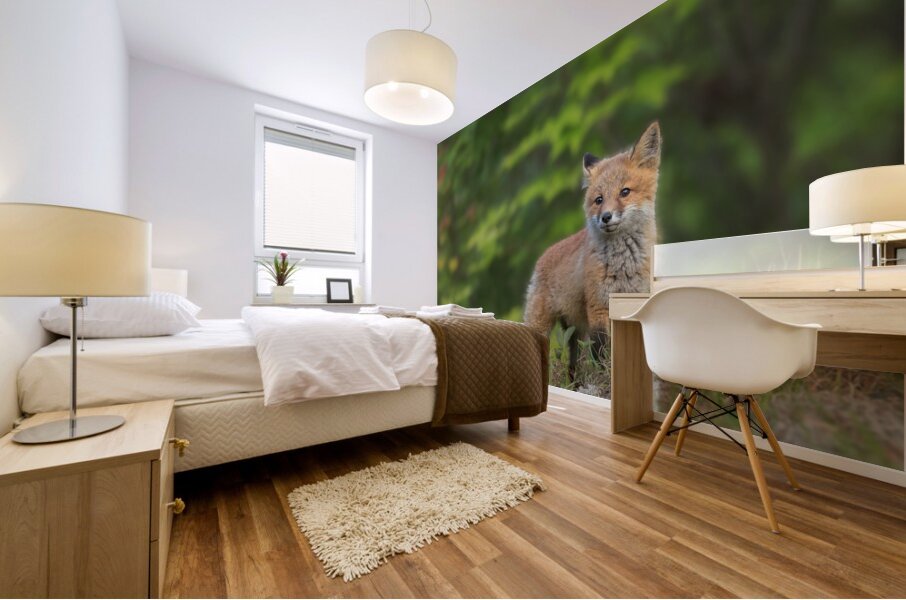 Fox Kit Mural print