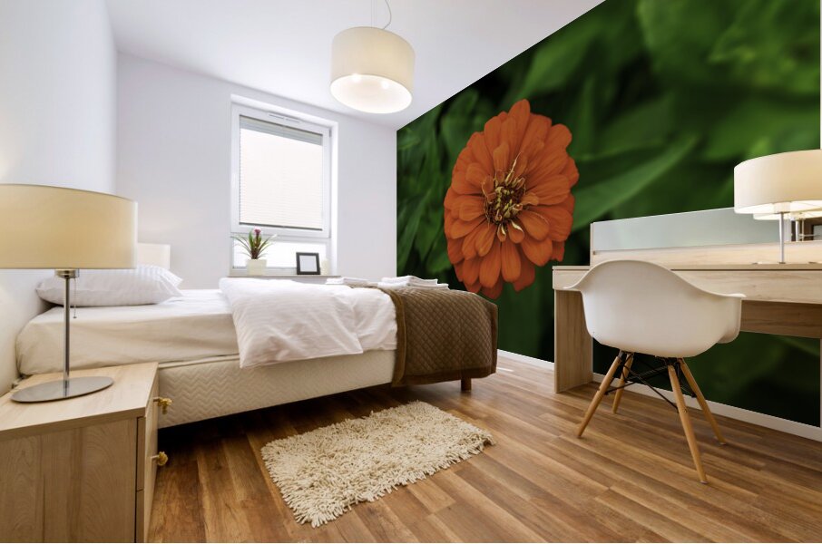 Dahlia Delight Mural print