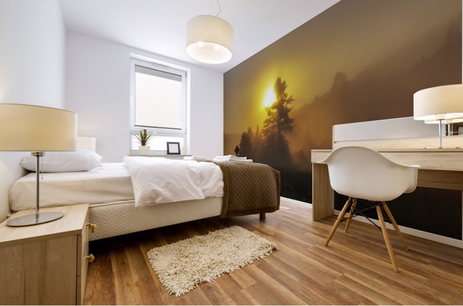 Algonquin Park Sunrise Mural print