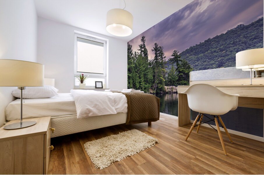 Light Before a Storm Mural print