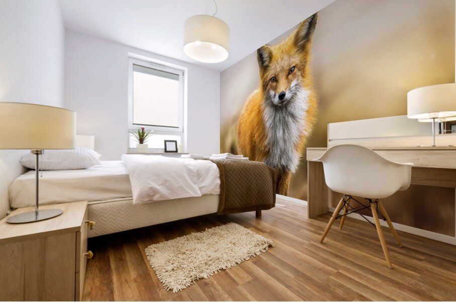 Foxing Around Mural print