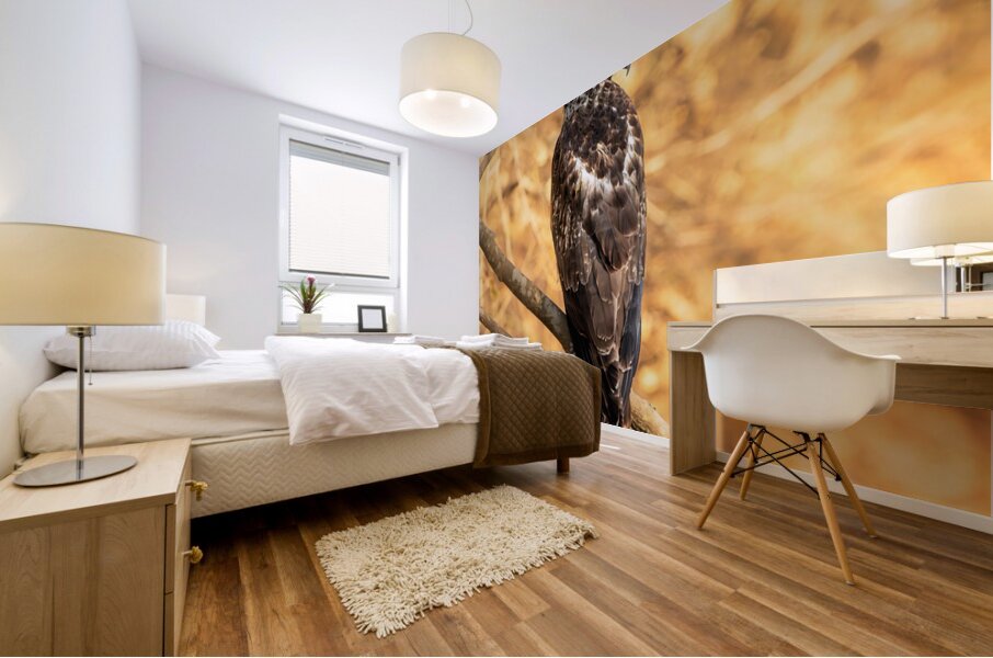 Crested Serpent Eagle. Mural print