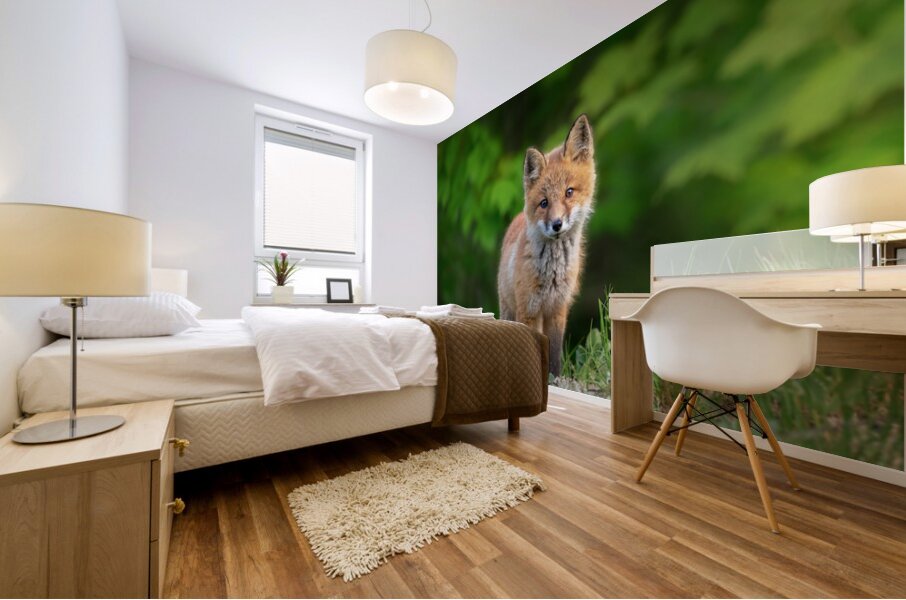 Portrait of a Fox Mural print