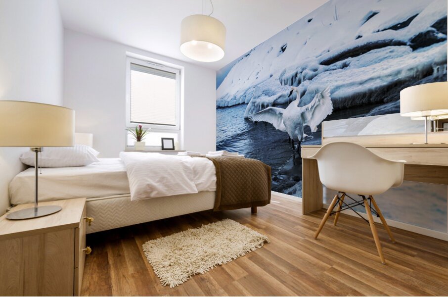 Swan in Winter Mural print