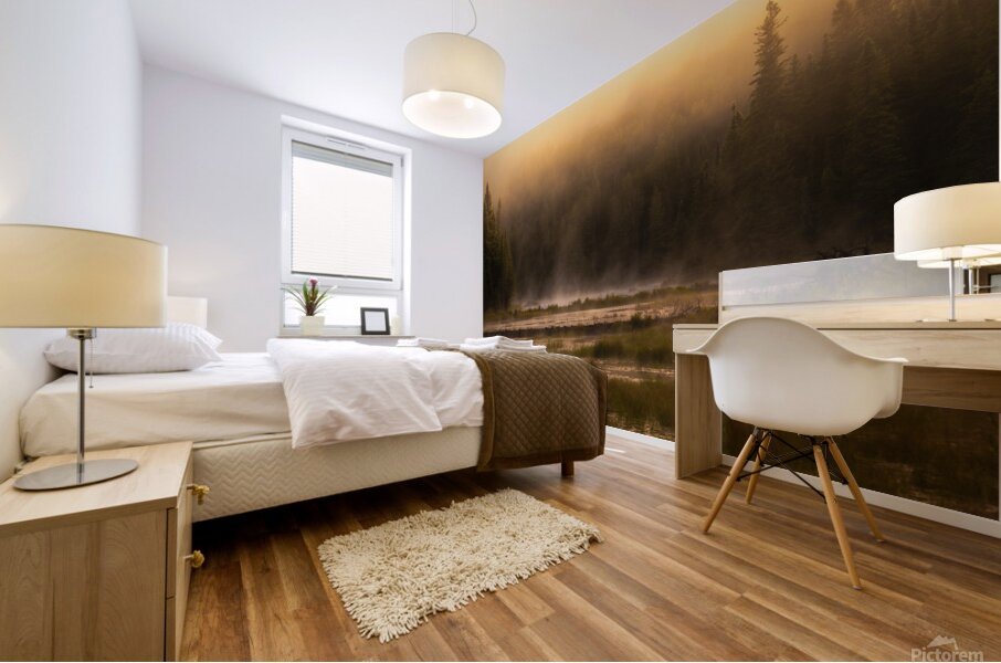 Summer morning in Algonquin Park Mural print