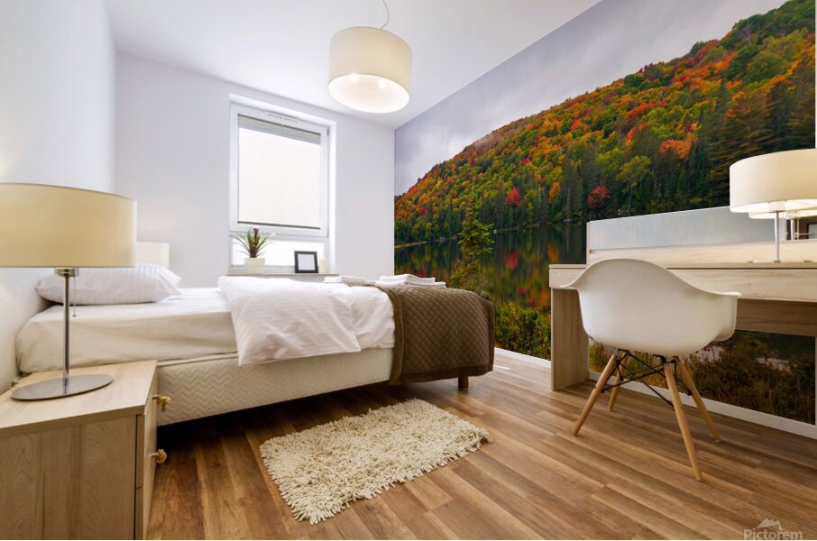 Algonquin Park in Autumn Mural print