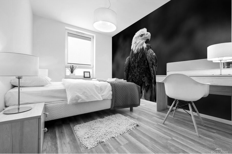 Bald Eagle Mural print