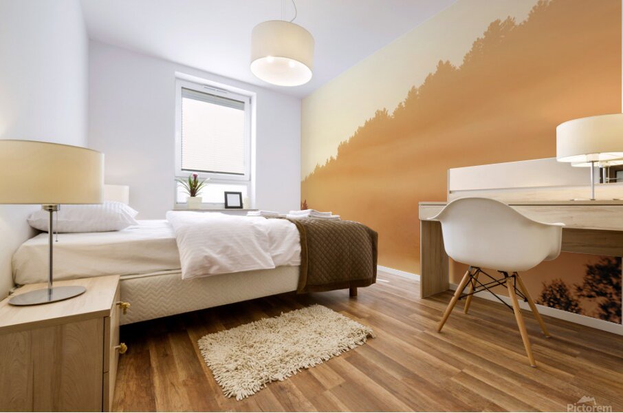 Morning Light Mural print