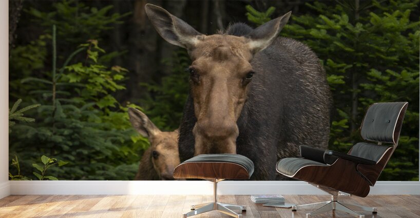 Love of a Mom Wall Murals