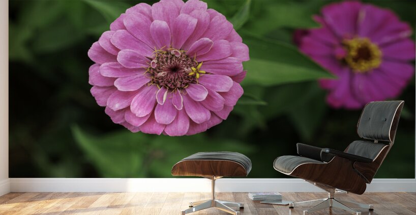 Nature’s art palette Wall Murals