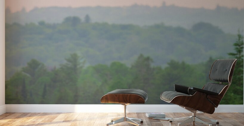 Standing Guard Wall Murals