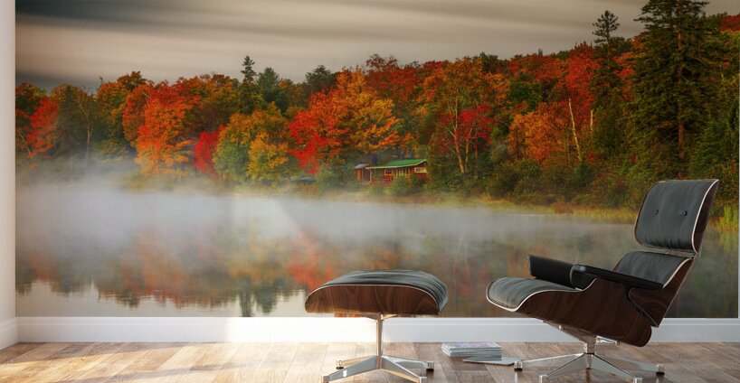 Vibrant Autumn Wall Murals