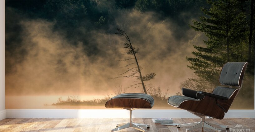 Mystical Wall Murals