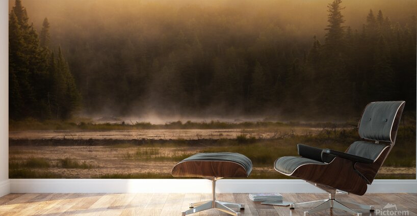 Summer morning in Algonquin Park Wall Murals