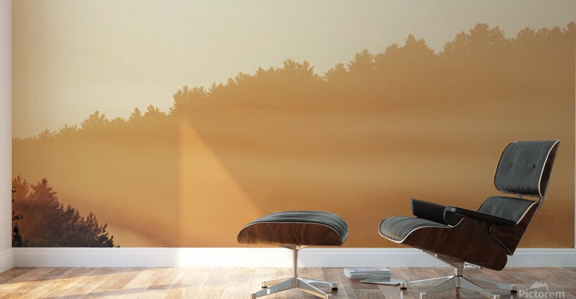 Morning Light Wall Murals
