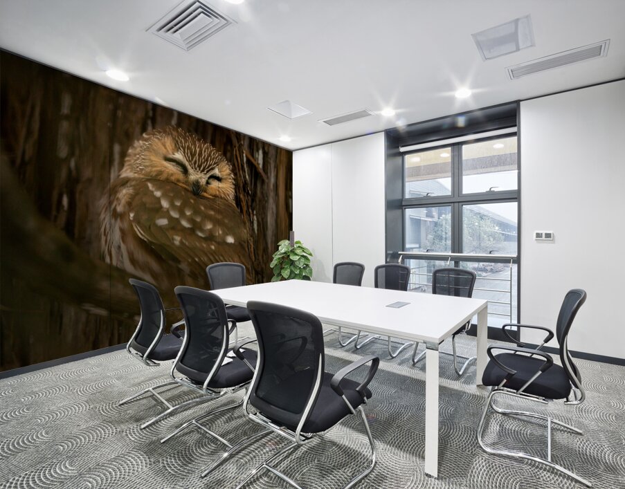 Saw Whet Owl Wall Printing