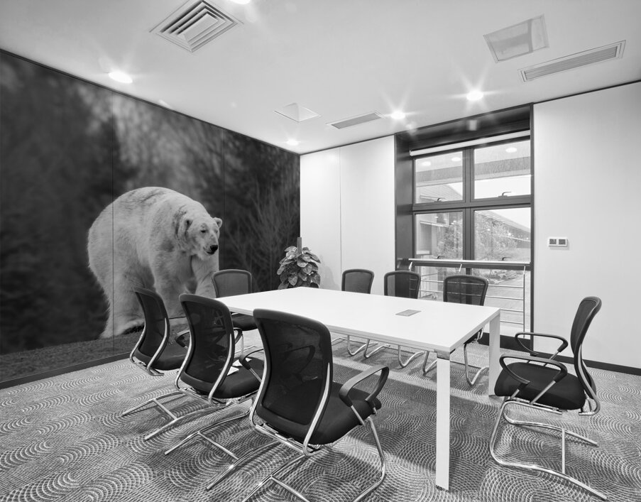 Polar Bear  Wall Printing