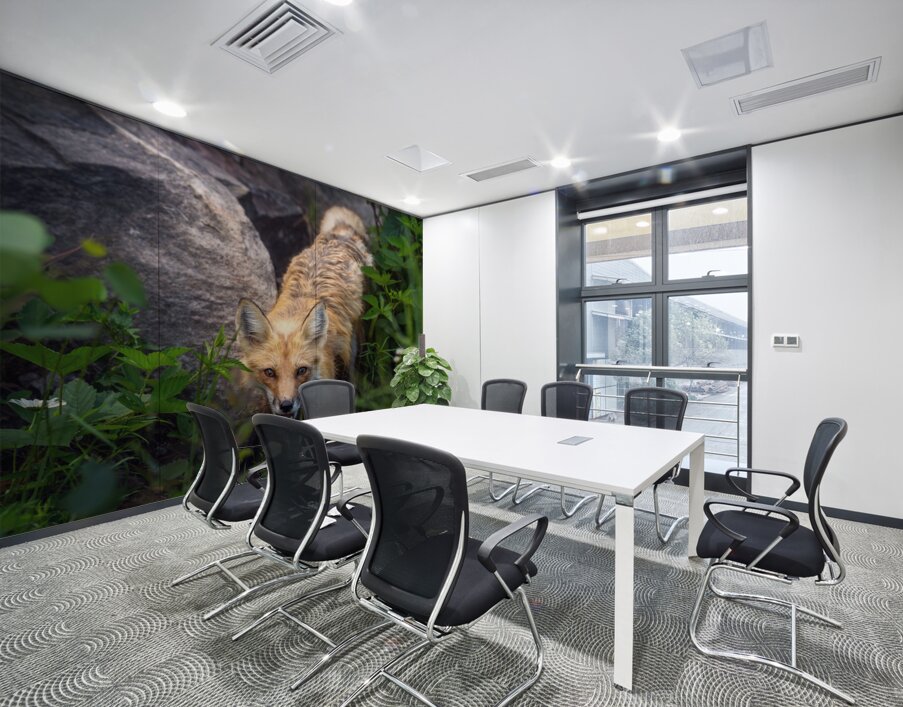 Vigilant gaze of a fox Wall Printing