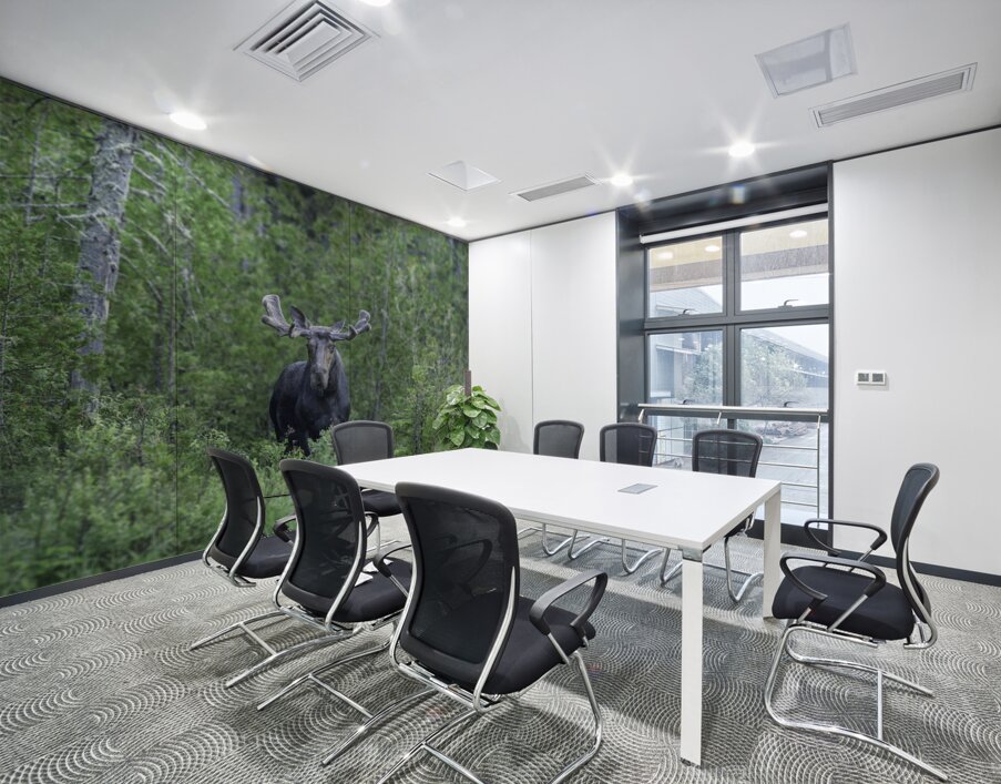 Gaze of a Bull Moose Wall Printing