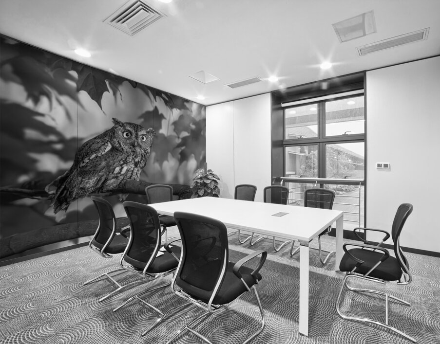 Gaze of an Owl Wall Printing