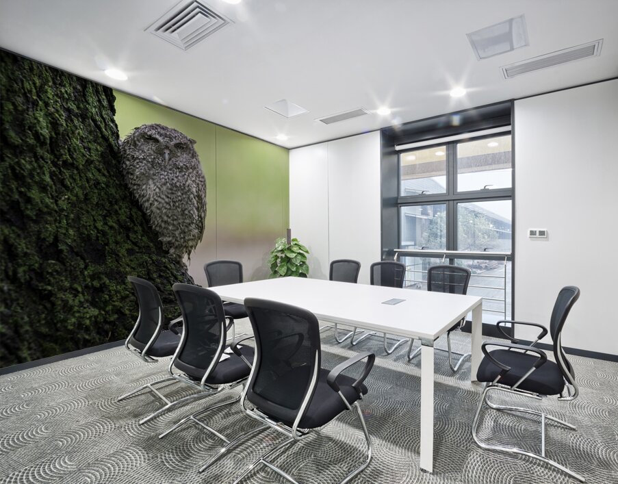 Eastern Screech Owlet Wall Printing