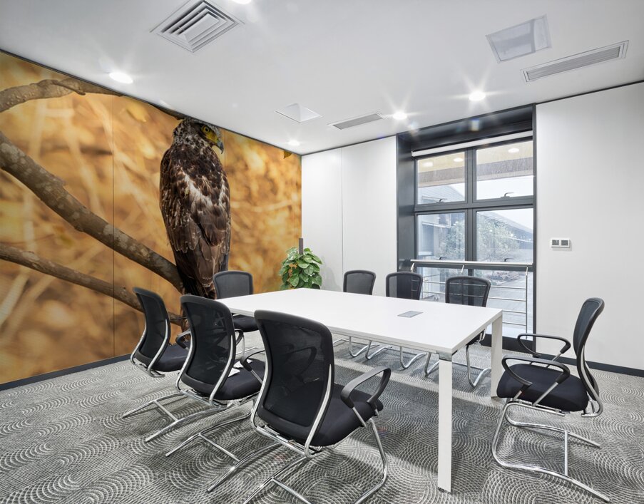 Crested Serpent Eagle. Wall Printing