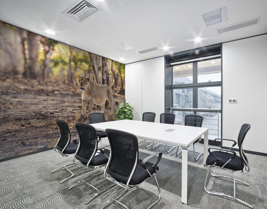 Lioness watching her pride. Wall Printing