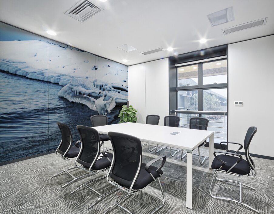 Swan in Winter Wall Printing