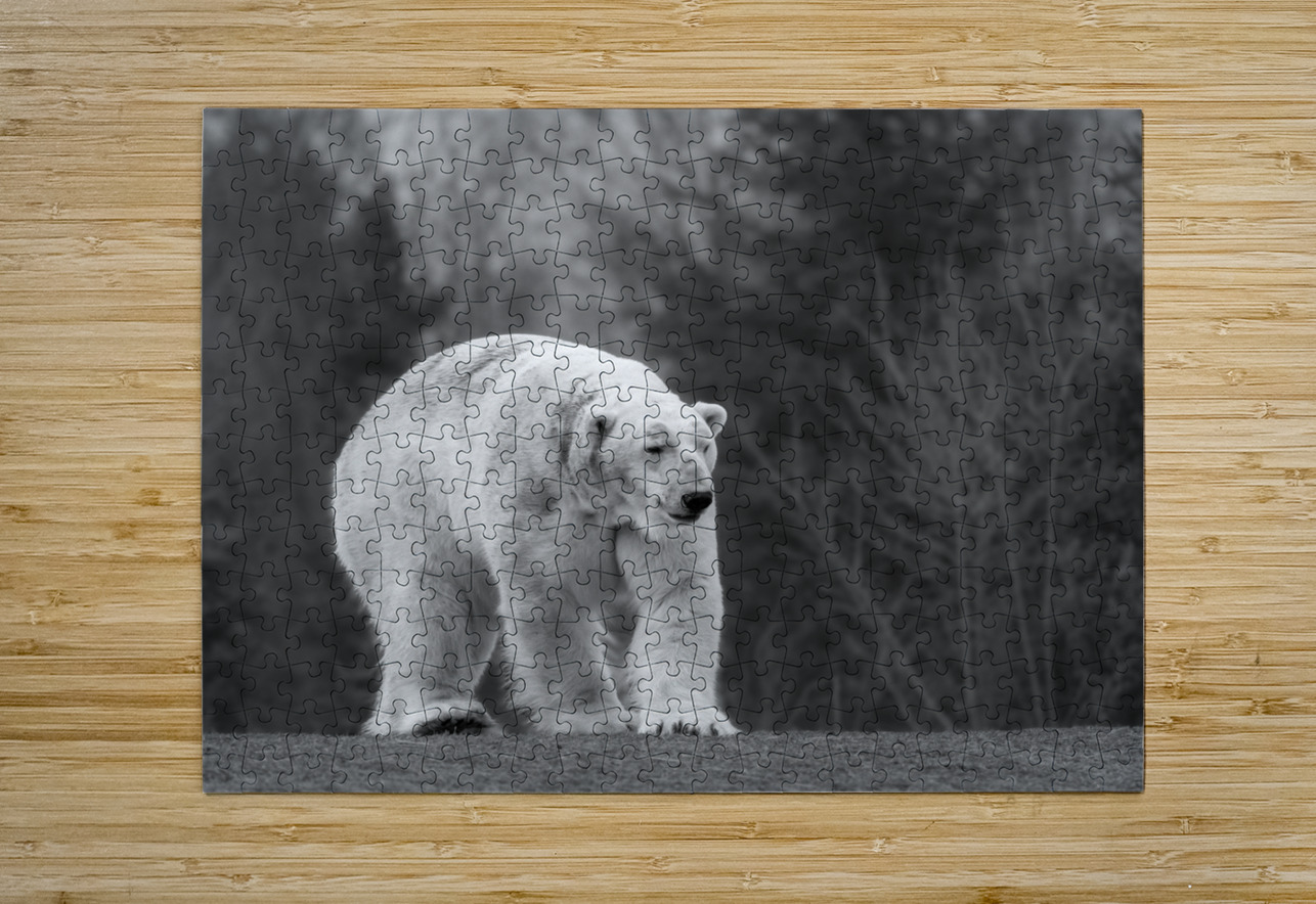 Polar Bear  Aman Sharma Puzzle printing