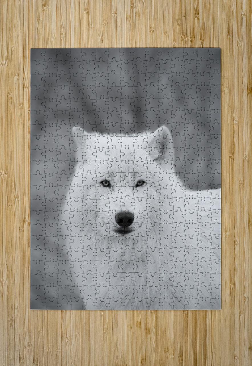Arctic Wolf Aman Sharma Puzzle printing