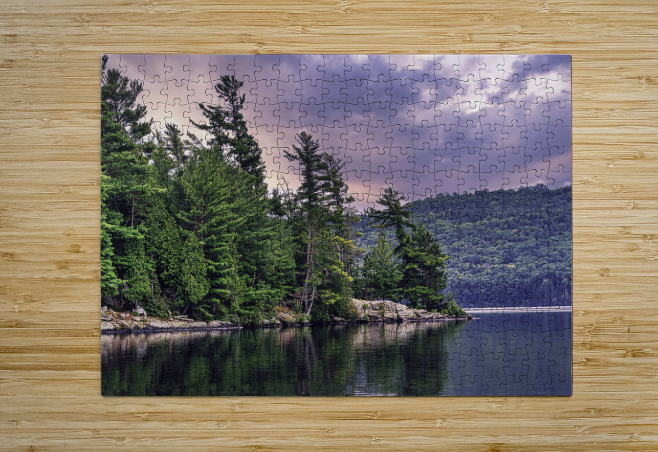 Light Before a Storm Aman Sharma Puzzle printing