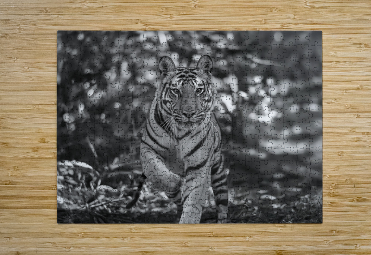 Sher Khan Aman Sharma Puzzle printing