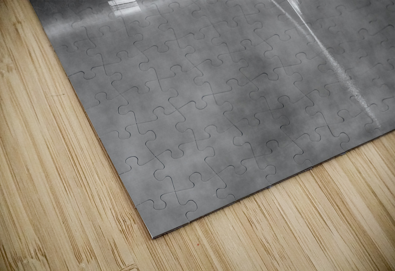 Serenity Aman Sharma Puzzle