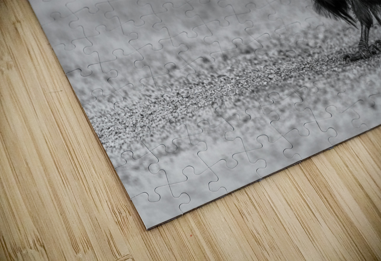 Three Eyed Raven Aman Sharma Puzzle